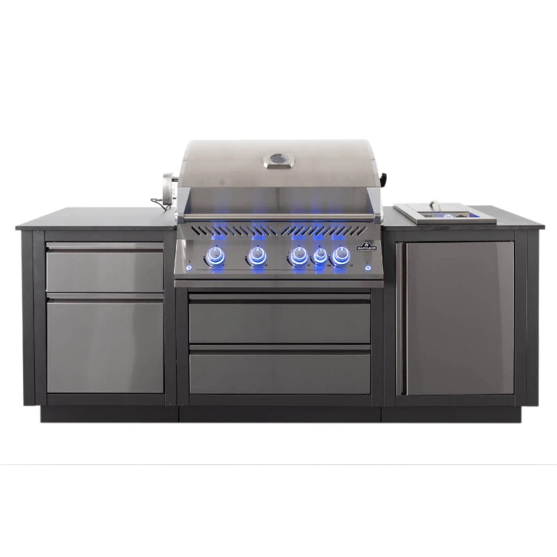 Napoleon OASIS 105 Outdoor-Küche Einbau 32" Serie 700 | Napoleon OASIS 105 Outdoor-Küche Einbau 32" Serie 700